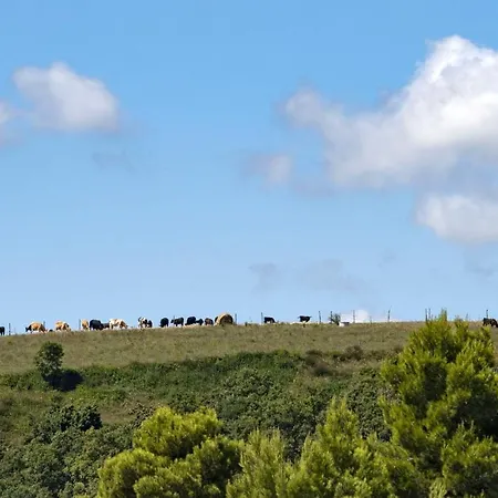 B&B La Casa Del Sasso 시롤로